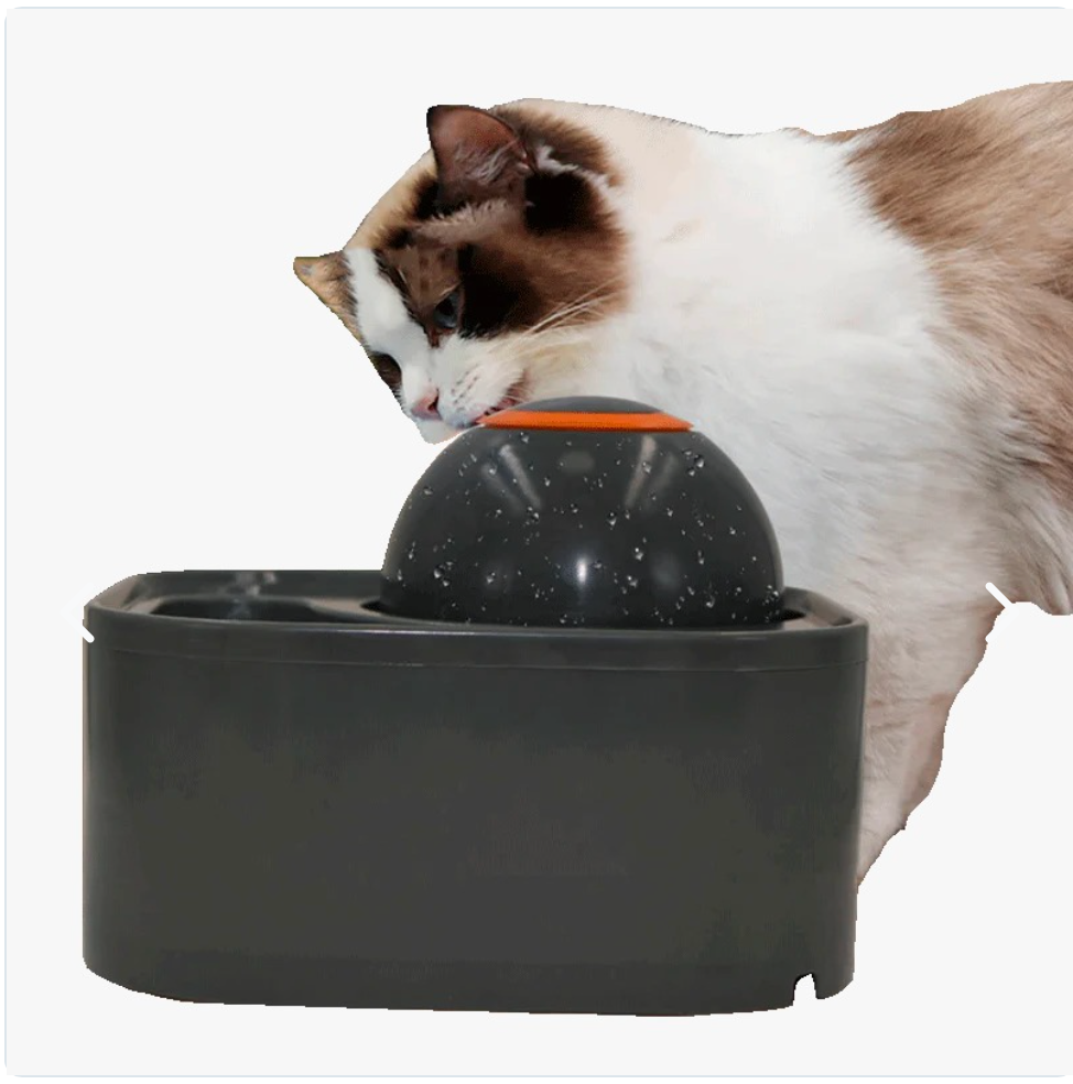 Fuente 2 En 1 Para Mascotas